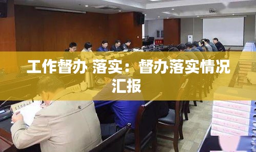 工作督办 落实：督办落实情况汇报 