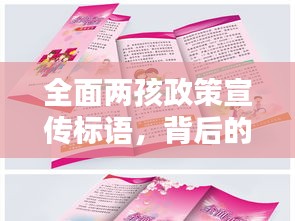 全面两孩政策宣传标语，背后的深意与实际行动的启示