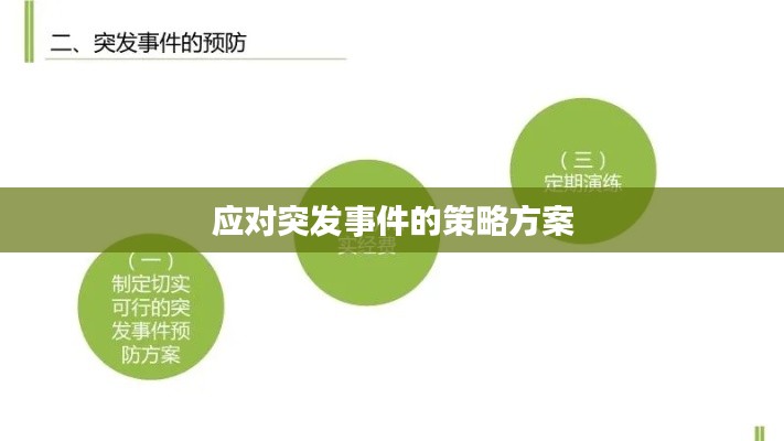 应对突发事件的策略方案