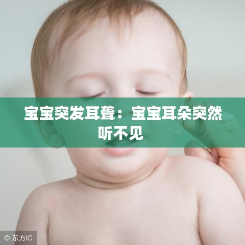 粗枝大叶 第2页