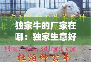 独家牛的厂家在哪：独家生意好不好做? 