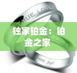 独家铂金：铂金之家 