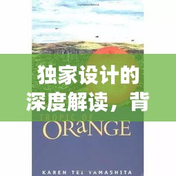 独家设计的深度解读，背后的意义与价值探索