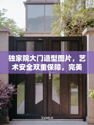 独家院大门造型图片，艺术安全双重保障，完美融合典范
