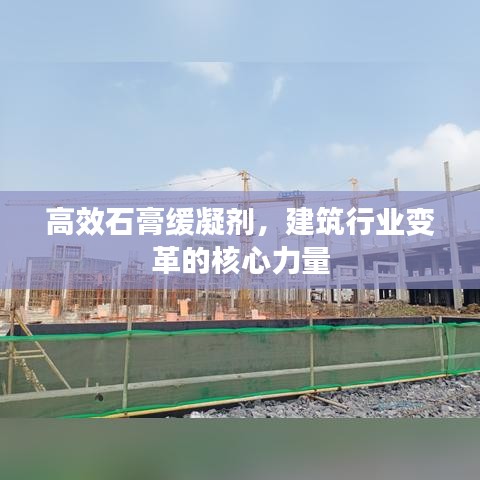 高效石膏缓凝剂，建筑行业变革的核心力量