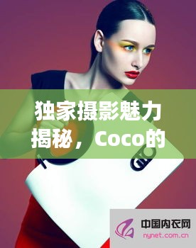 独家摄影魅力揭秘，Coco的独特视角捕捉美好瞬间