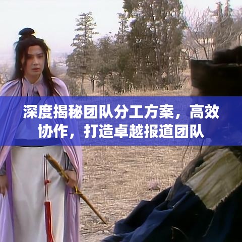深度揭秘团队分工方案，高效协作，打造卓越报道团队