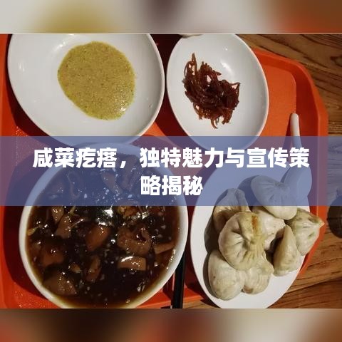 咸菜疙瘩，独特魅力与宣传策略揭秘