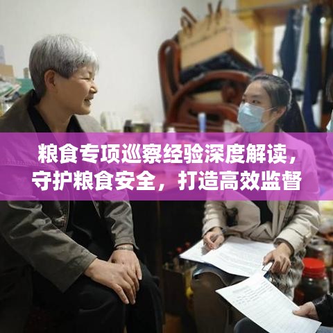 粮食专项巡察经验深度解读，守护粮食安全，打造高效监督体系