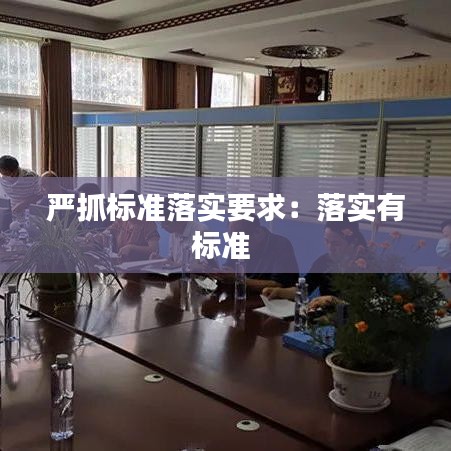 严抓标准落实要求：落实有标准 