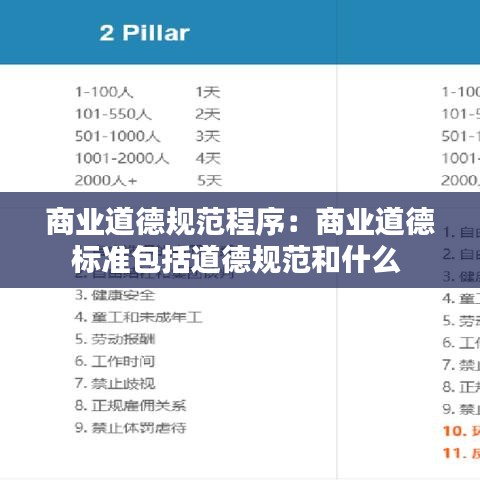 商业道德规范程序：商业道德标准包括道德规范和什么 