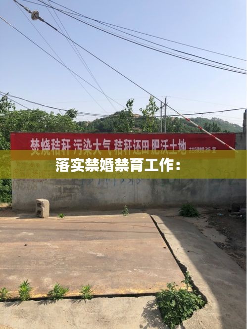 落实禁婚禁育工作： 