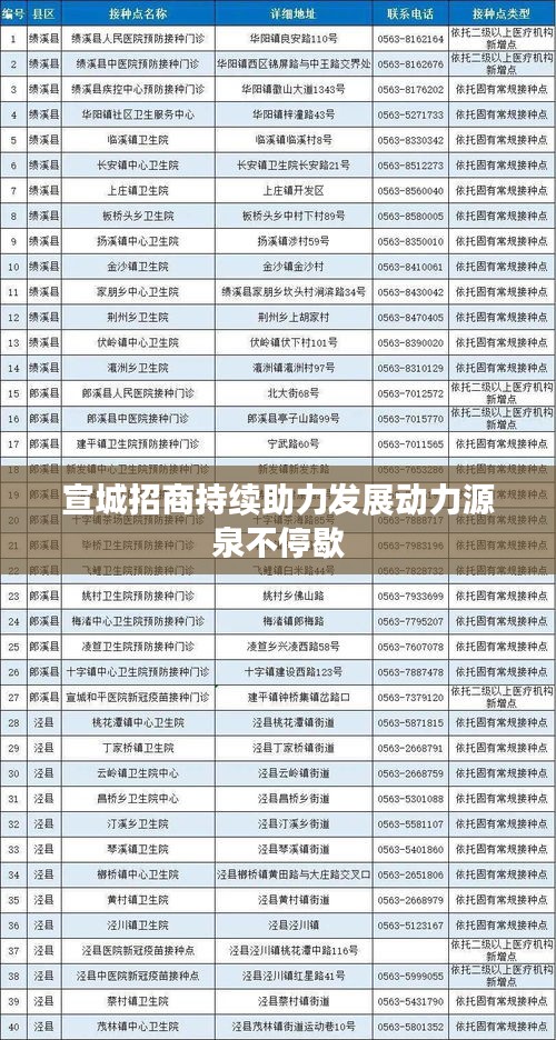 宣城招商持续助力发展动力源泉不停歇