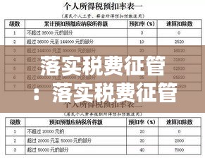 落实税费征管：落实税费征管工作措施 