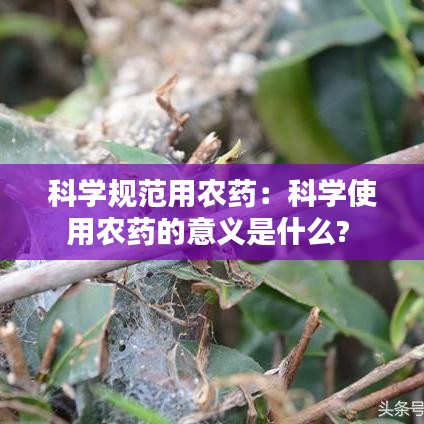 科学规范用农药：科学使用农药的意义是什么? 