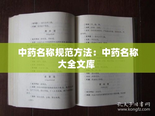 中药名称规范方法：中药名称大全文库 