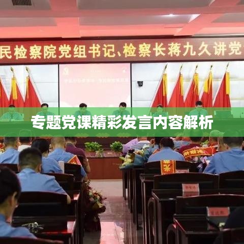 专题党课精彩发言内容解析