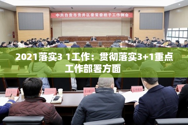2021落实3 1工作：贯彻落实3+1重点工作部署方面 