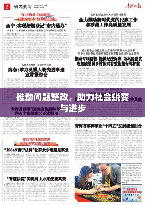 推动问题整改，助力社会蜕变与进步