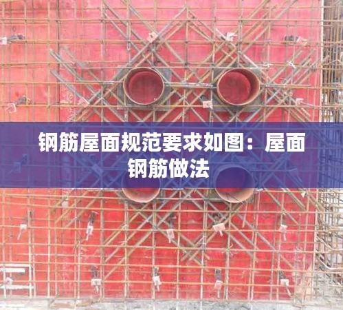 张张屈屈 第3页