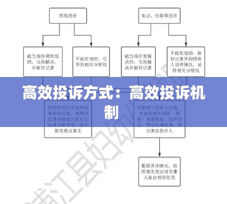 高效投诉方式：高效投诉机制 