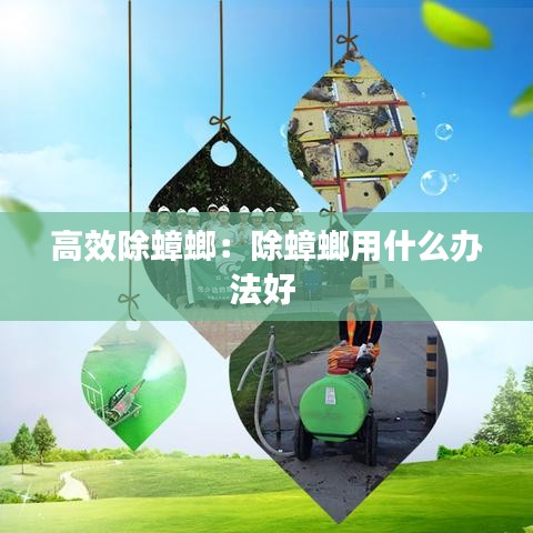 高效除蟑螂：除蟑螂用什么办法好 