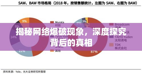 揭秘网络爆破现象，深度探究背后的真相