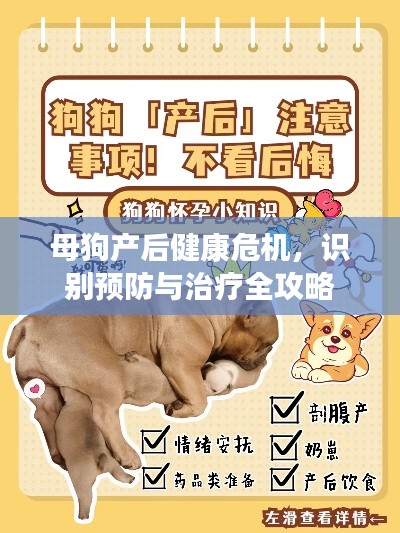 母狗产后健康危机，识别预防与治疗全攻略