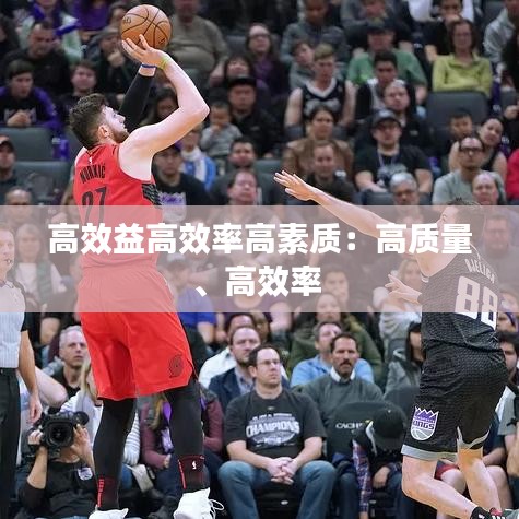 高效益高效率高素质：高质量、高效率 