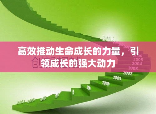 高效推动生命成长的力量，引领成长的强大动力