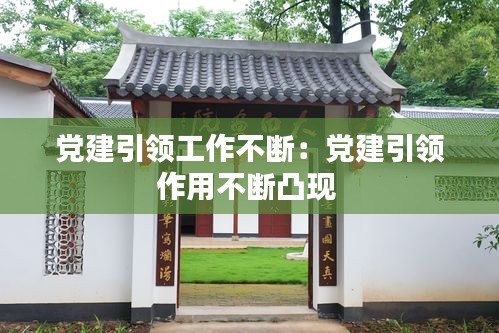 党建引领工作不断：党建引领作用不断凸现 