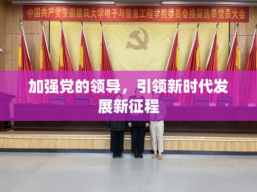 加强党的领导，引领新时代发展新征程