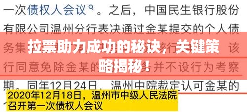 拉票助力成功的秘诀，关键策略揭秘！