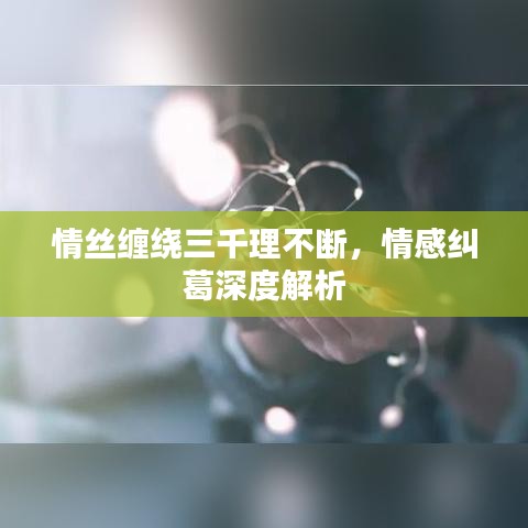 情丝缠绕三千理不断，情感纠葛深度解析