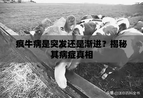 疯牛病是突发还是渐进？揭秘其病症真相