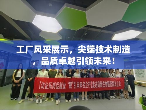工厂风采展示，尖端技术制造，品质卓越引领未来！