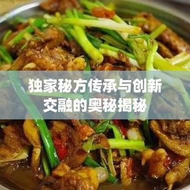 独家秘方传承与创新交融的奥秘揭秘