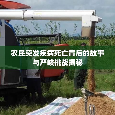 农民突发疾病死亡背后的故事与严峻挑战揭秘
