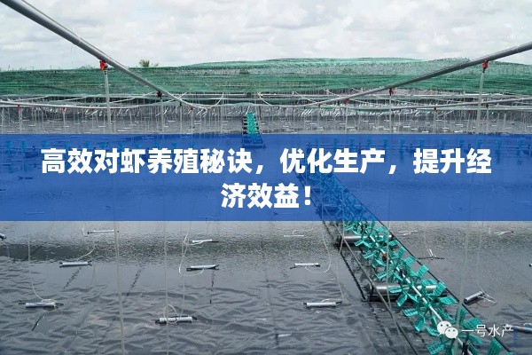高效对虾养殖秘诀，优化生产，提升经济效益！