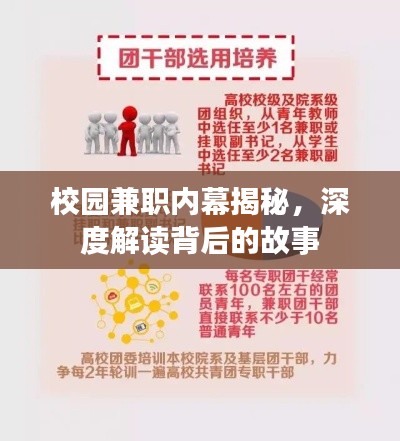校园兼职内幕揭秘，深度解读背后的故事