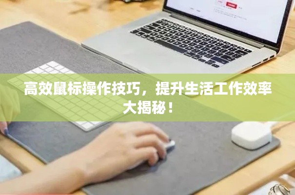 高效鼠标操作技巧，提升生活工作效率大揭秘！
