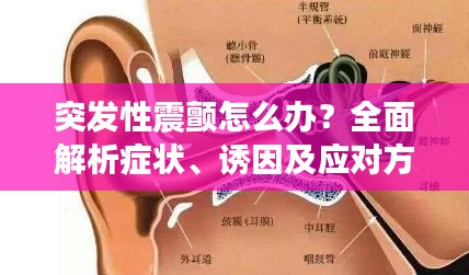 突发性震颤怎么办？全面解析症状、诱因及应对方法