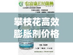 攀枝花高效膨胀剂价格深度解析
