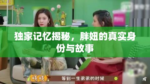 独家记忆揭秘，胖妞的真实身份与故事