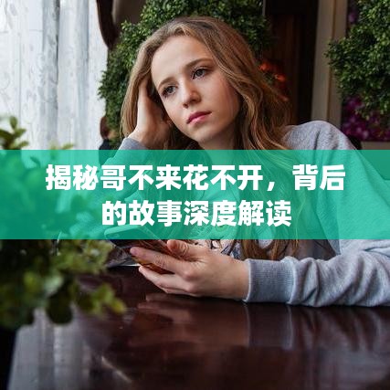 揭秘哥不来花不开，背后的故事深度解读