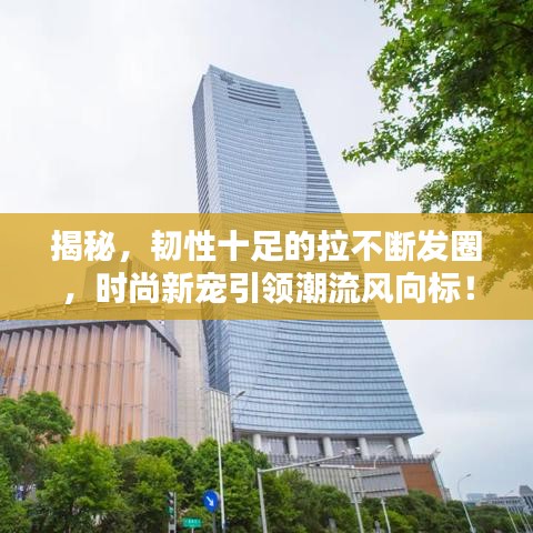揭秘，韧性十足的拉不断发圈，时尚新宠引领潮流风向标！