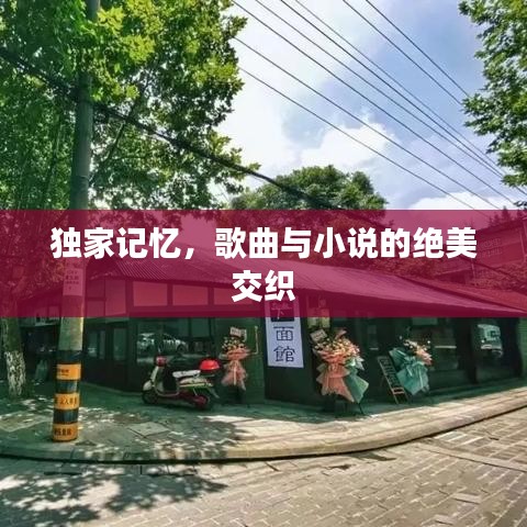 独家记忆，歌曲与小说的绝美交织