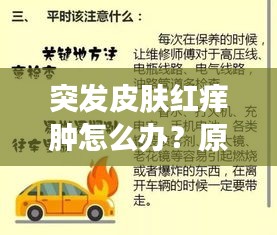 突发皮肤红痒肿怎么办？原因解析、应急处理与预防攻略