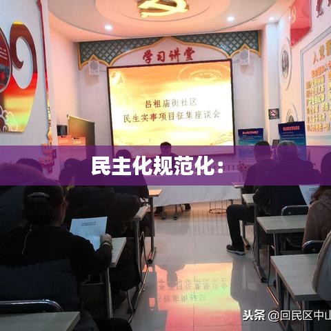 民主化规范化： 