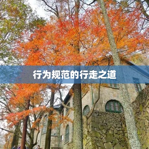 行为规范的行走之道